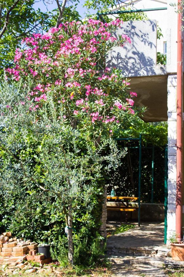 PUY Bilini Garden Apartment מראה חיצוני תמונה